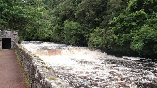 Falls of Clyde waterfall in full spate after heavy rains. New Lanark, Lanarkshire, Scotland