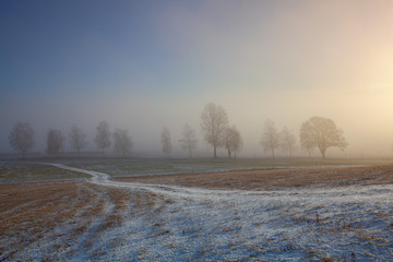 Winter  landscape in the dramatic morning mist.