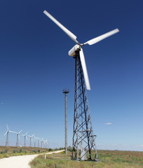 Wind turbine. Alternative energy.