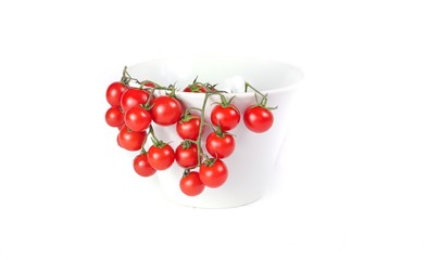 vine tomatoes in a cup with white background