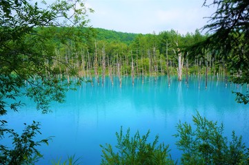 the blue pond in biei