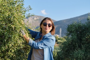 Woman worker inspecting olive trees in the mountains, eco olive farm