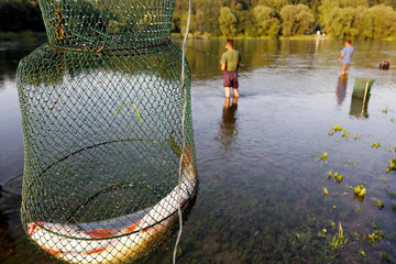 Obraz premium Fishing on the Drava River