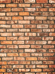 Fototapeta premium Brick wall detail