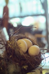 easter eggs in a nest