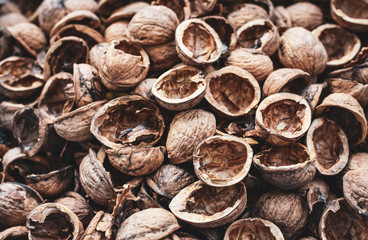 Walnut shells background. 