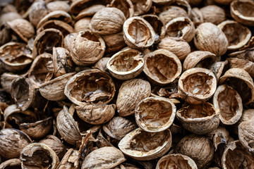 Dry walnut shells background. Seamless pattern
