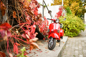 Beautiful red scooter © Foton