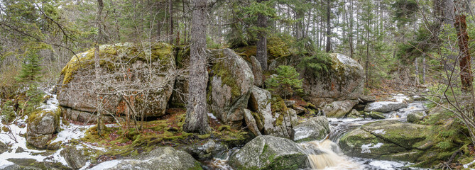 Fototapeta premium Panorama Brook Falls in Deep Forest