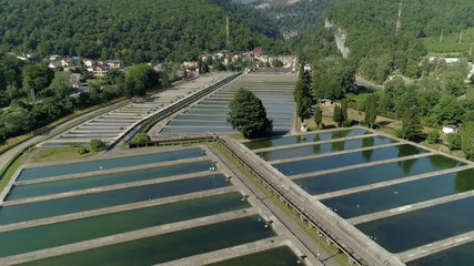 Aerial forward salmon fish farm many outdoor concrete pools producing growing between mountains outdoors. Lot fish swims. Suburban landscape. Birds are flying. Artificial breeding hatchery. Summer