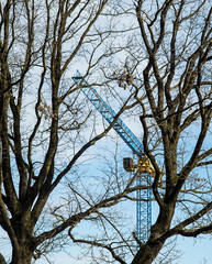 Heavy construction crane with trees infront