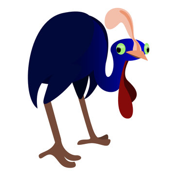 recommend clip art: Cassowary