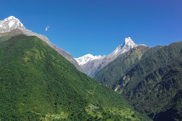 Naklejka premium Vivid Scenery of Forest Freshness Along the Mountain Valley