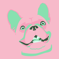 Frenchie