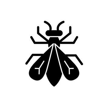 Insect Icon Vector Simple Design