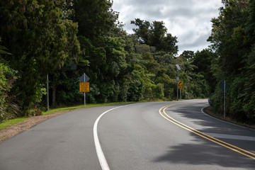View of empty asphalt road turn with yellow signs and dense forest