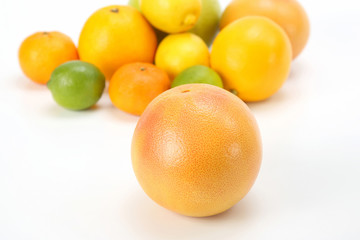 grapefruit on the background of different citrus fruits on white background