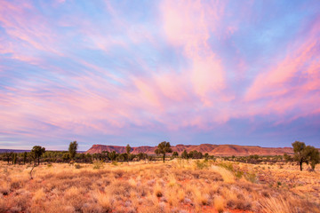 Pink sky in the evening over the King’s canyon in the distance