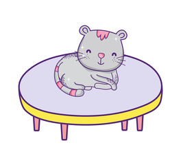 cute cat sitting on round table cartoon