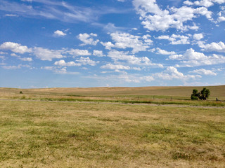 Fototapeta premium South Dakota grassland landscape in summer