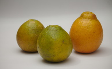 Orange, excellent food