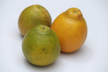 Orange, excellent food