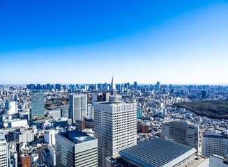 青空と東京シティビュー