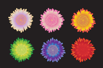 beautiful flowers, vector set isolated on white