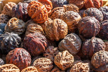 Lots of wild walnuts together