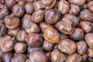 Lots of wild walnuts together