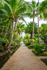 Fototapeta na wymiar A path at the tropical garden on a beautiful day at Anse Vata Bay in Noumea, New Caledonia, South Pacific Ocean.
