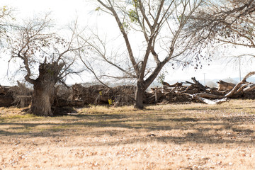 Photo by: Clara Ines Photography (www.clarainesphotography)