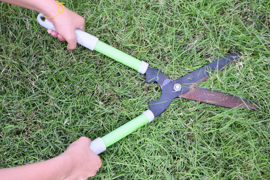 Cutting Grass With Garden Shears