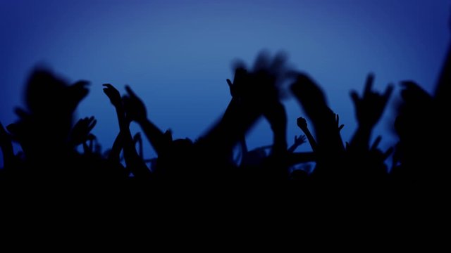 熱狂する観客たちのシルエットとフラッシュ　ループ