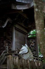 Ancient Japanese kitsune statue guardian, fox guard statue old shinto shrine in Tokyo, Inari Shrine