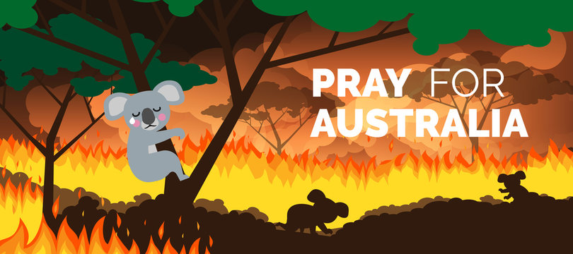 Pray For Australia Banner Forest In Fire Burning Bushfire . Save Koala Bears 