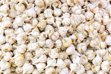Lots of dry garlic heads in asian street market, close-up. Garlic background.