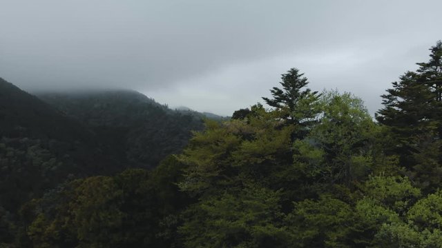早春の山間空撮ドローン