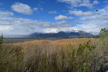 Utah Lake looking toward the mountains 