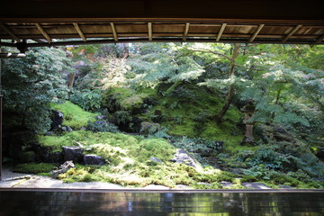 Rurikoin Temple, Kyoto, Japan