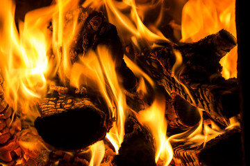 The flame of burning firewood close-up