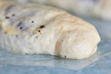 Production of delicious rolls and rolls with poppy at Easter