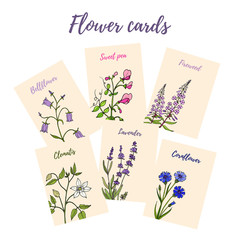 Set of 6 cards with color flowers