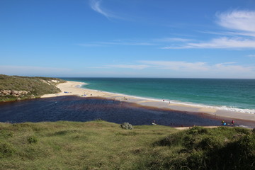 River meets the ocean