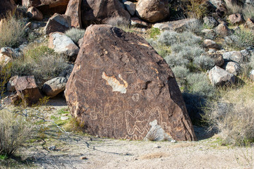 USA, Nevada, Clark County, Lake Mead National Recreation Area, Spirit Mountain Wilderness Area, Grapevine Canyon. A boulder with petroglyphs, but with some chipped away.