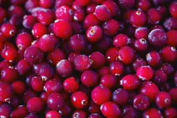 Frozen cranberries background, healthy berries