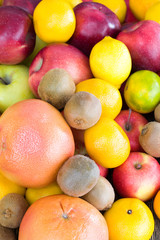 large group of winter citrus