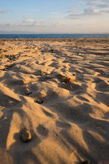 夕日に照らされる砂浜