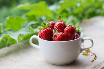 Red, juicy strawberries in a white plate. Fresh red strawberries are ready to eat. Pile of fresh strawberries on the background of a green garden. Red berry. The view from the top. Space for text.