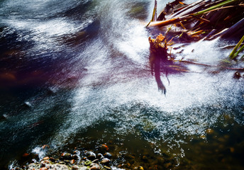 Corriente de agua, con un efecto seda siguiendo el curso del río